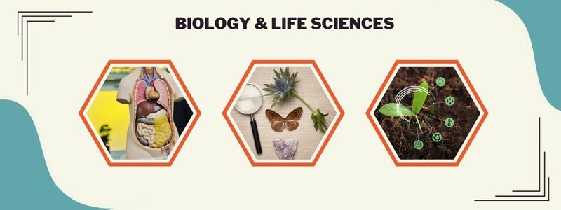 Biology & Life Sciences